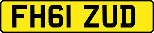FH61ZUD