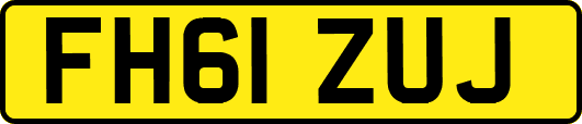 FH61ZUJ