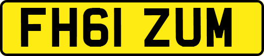 FH61ZUM