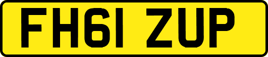 FH61ZUP