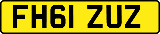 FH61ZUZ