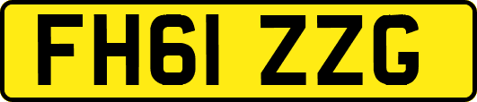 FH61ZZG