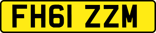 FH61ZZM