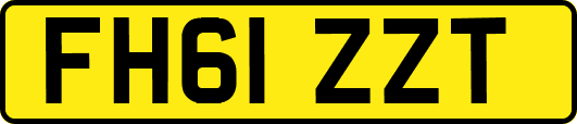 FH61ZZT