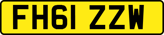 FH61ZZW