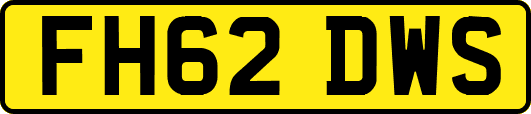 FH62DWS