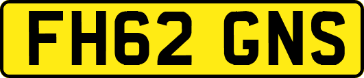 FH62GNS