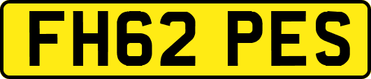 FH62PES