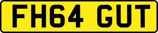 FH64GUT