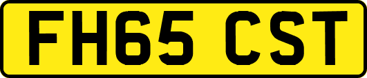 FH65CST
