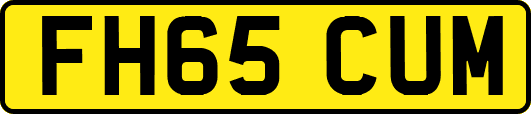 FH65CUM