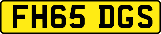 FH65DGS