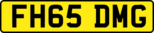 FH65DMG