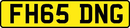FH65DNG