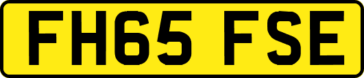 FH65FSE