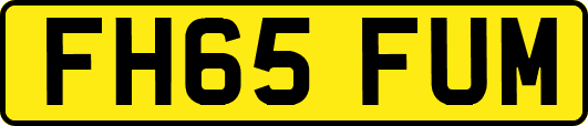 FH65FUM