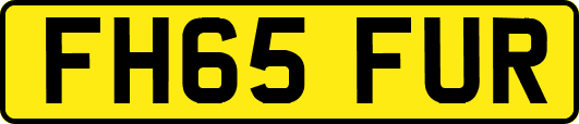 FH65FUR