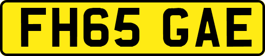 FH65GAE