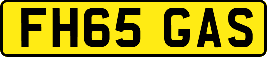 FH65GAS