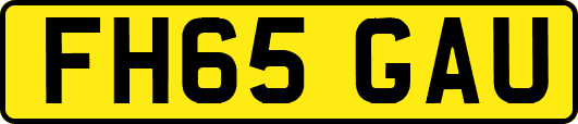 FH65GAU