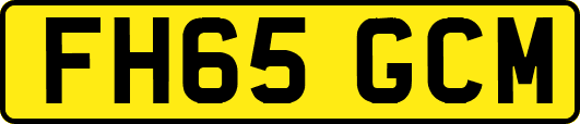 FH65GCM