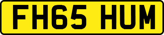 FH65HUM