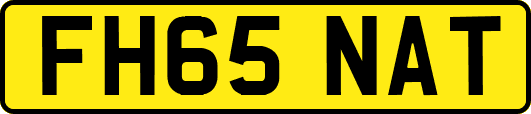 FH65NAT
