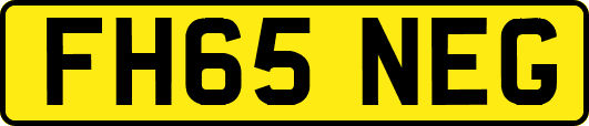 FH65NEG