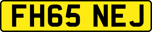 FH65NEJ