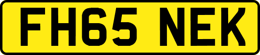 FH65NEK