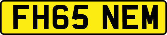 FH65NEM