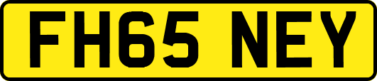 FH65NEY
