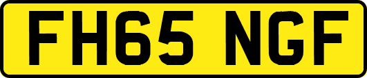 FH65NGF