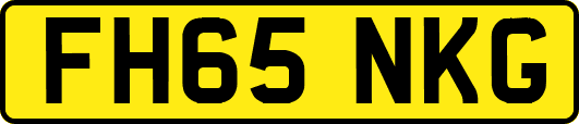 FH65NKG