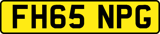 FH65NPG