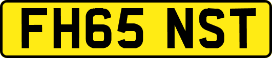 FH65NST
