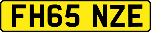 FH65NZE
