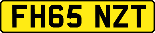 FH65NZT
