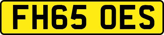 FH65OES