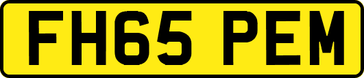 FH65PEM