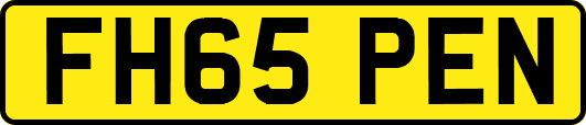 FH65PEN