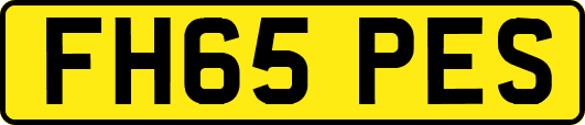 FH65PES