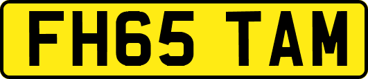 FH65TAM
