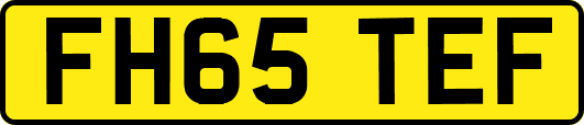 FH65TEF