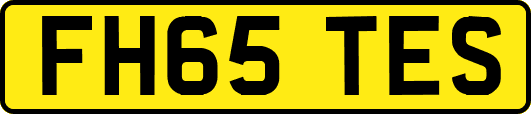 FH65TES