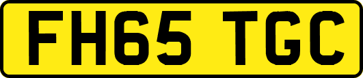 FH65TGC