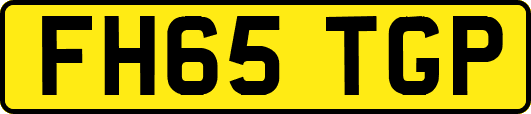 FH65TGP