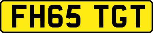 FH65TGT