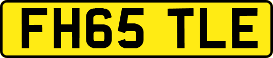 FH65TLE