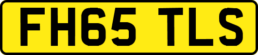 FH65TLS